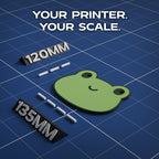 Common Frog Animal Coaster 3D Print Model