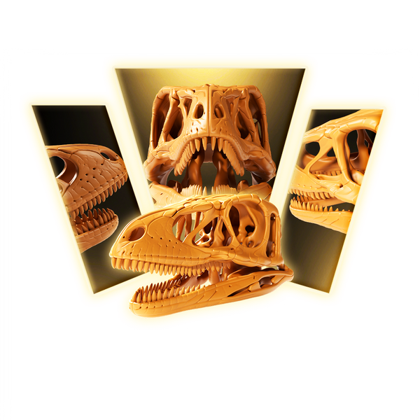 Velociraptor Skull 3D Print Model