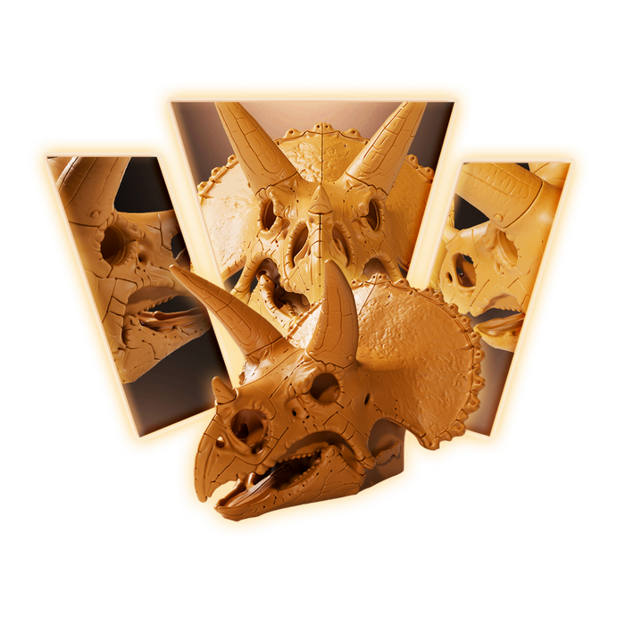 Triceratops Skull 3D Print Model