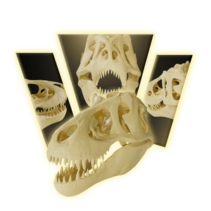 T rex skull Skull 3D Print Model