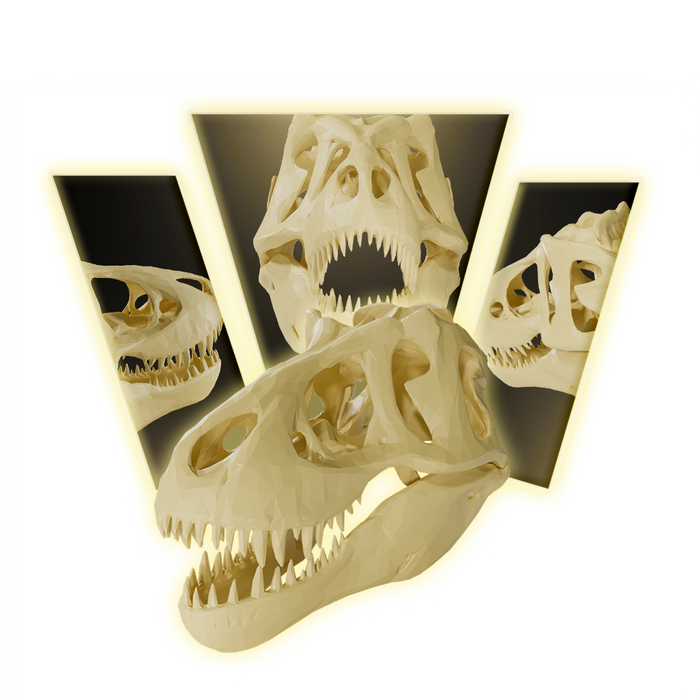 T rex skull Skull 3D Print Model