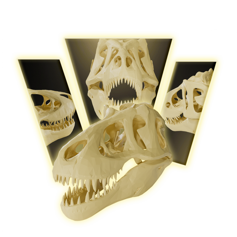 T rex skull Skull 3D Print Model