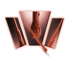 Harry Potter's Holly Wand 3D Print Model
