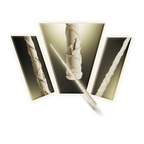 Hermione Granger's Vine Wand 3D Print Model