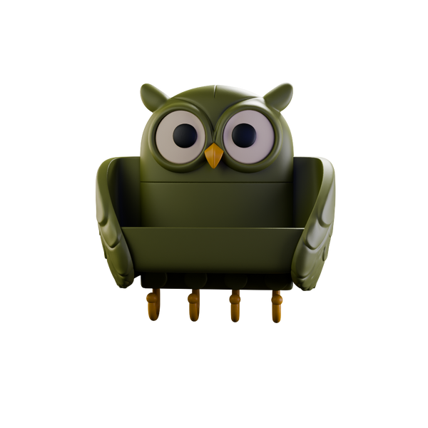 Owl Key Holder