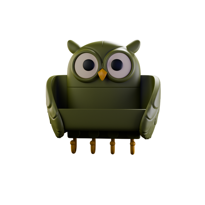 Owl Key Holder