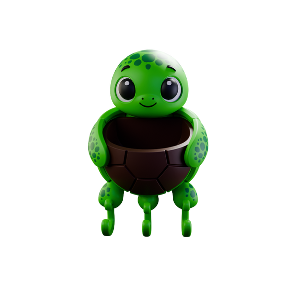 Turtle Key Holder