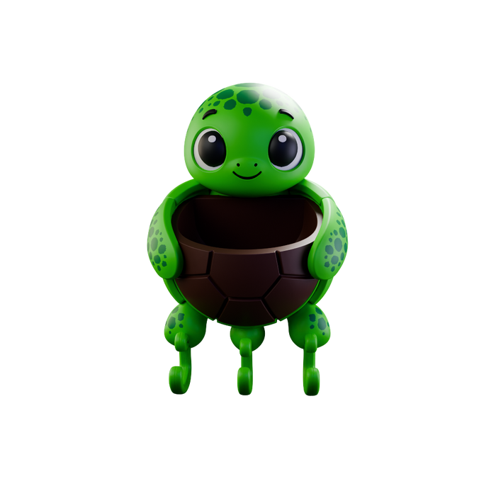 Turtle Key Holder