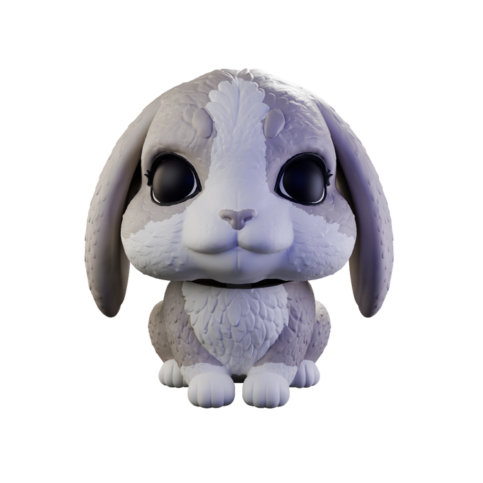 Rabbit