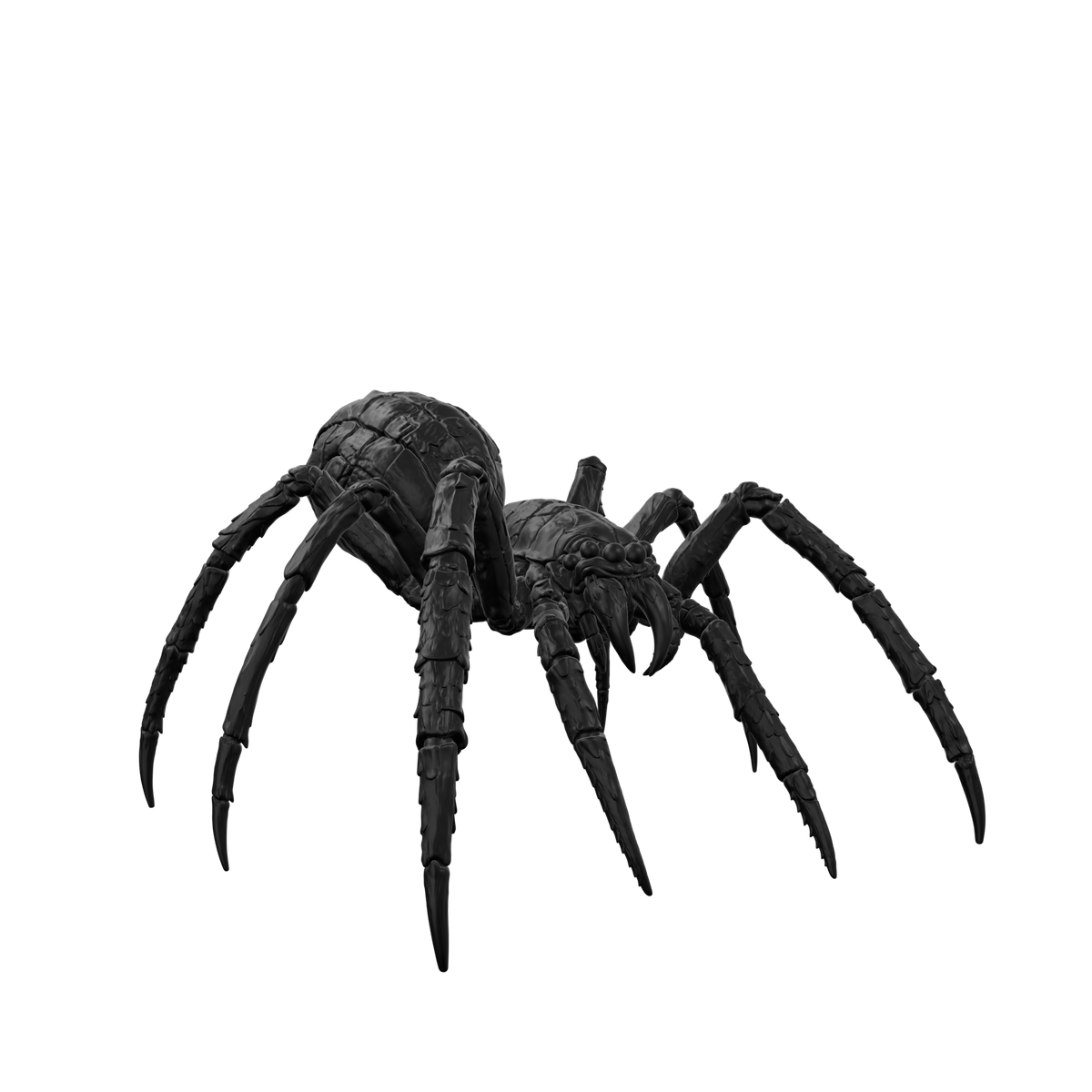 Spider