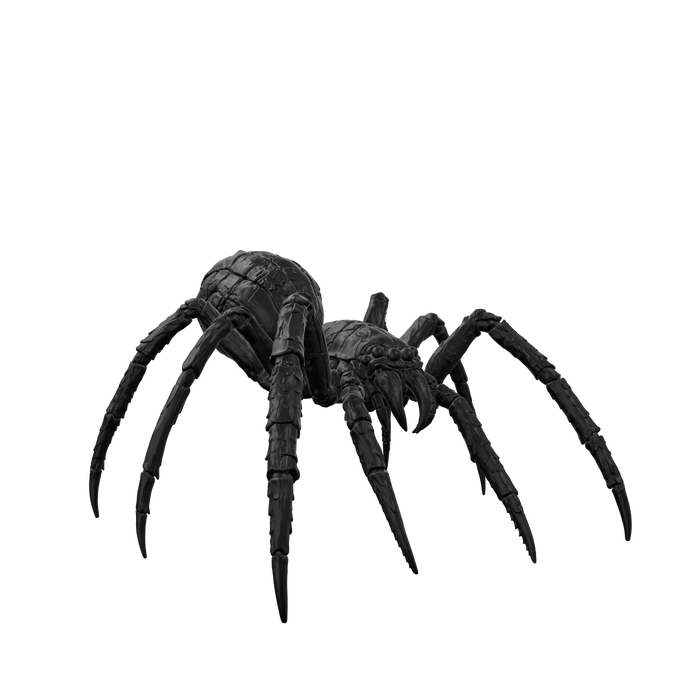 Spider