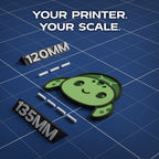 Green Sea Turtle Animal Coaster 3D Print Model