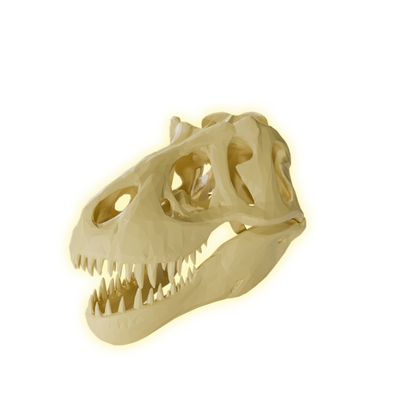 Dinosaur skulls