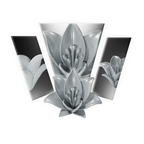 Lily Flower 3D Print Model